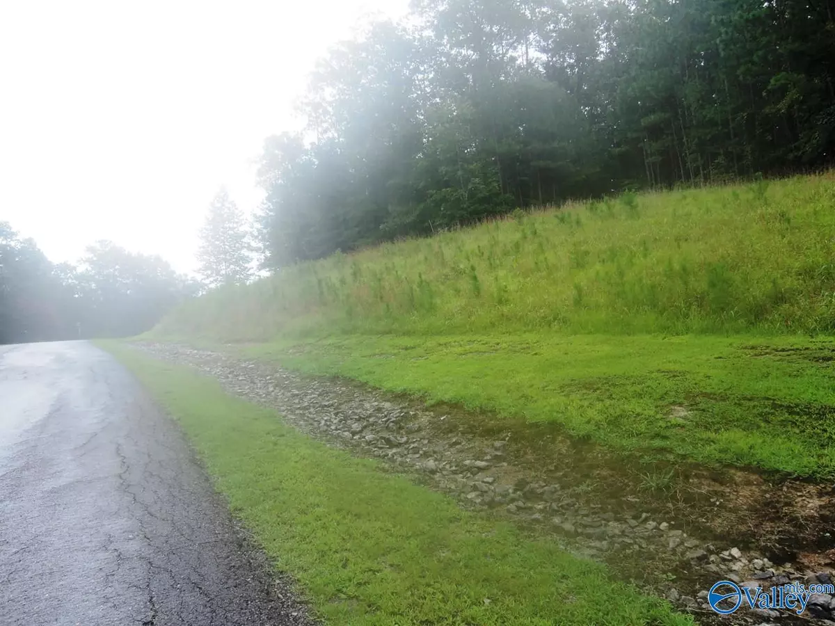 Double Springs, AL 35553,Lot 120 Stoney Point Road