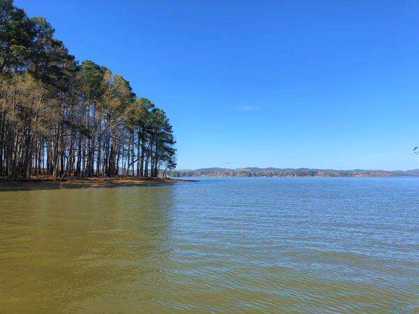 Lot 7 Little River Landing, Cedar Bluff, AL 35959