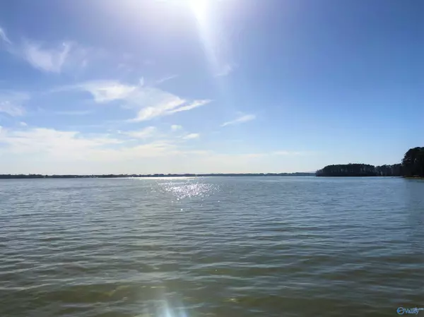 Lot 8 Little River Landing, Cedar Bluff, AL 35959