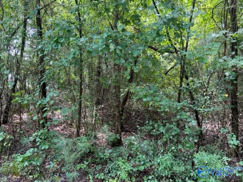 3 Acre Lyle Circle, Somerville, AL 35670