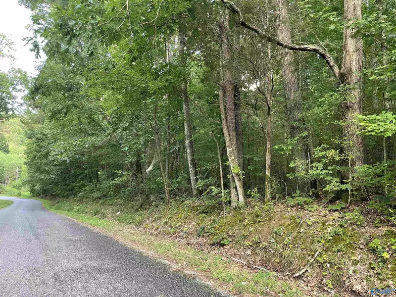 11+/- acres Fish Trap Road, Grant, AL 35747