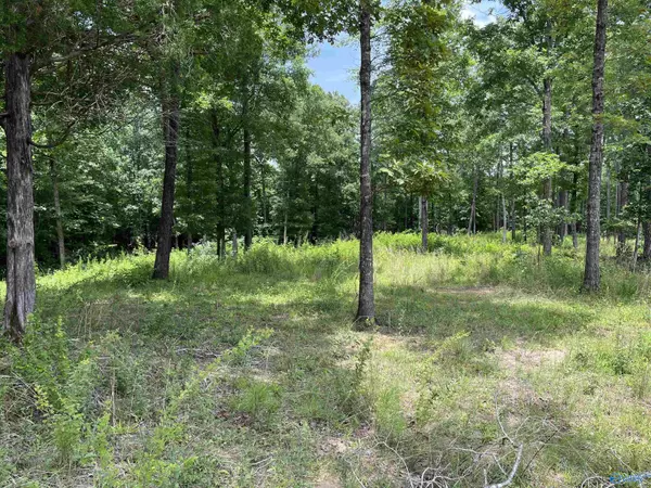 Arley, AL 35541,6 acres County Road 12