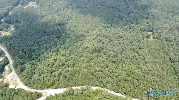 Double Springs, AL 35553,39 County Road 95