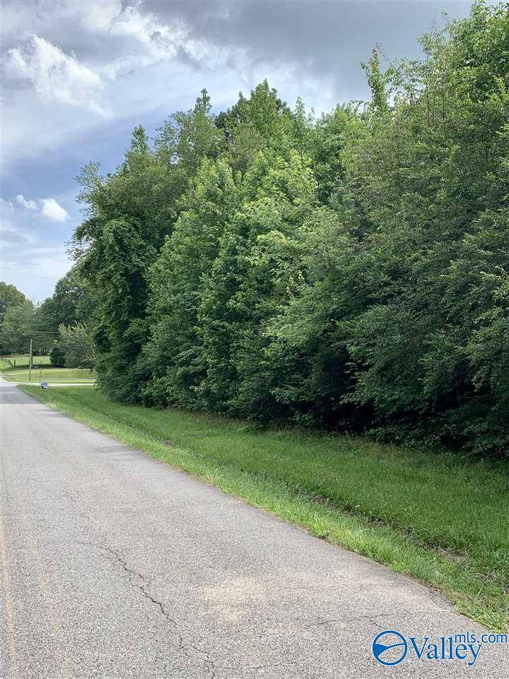 Lot 1 and 2 10th Avenue,  Arab,  AL 35016