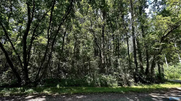 Grant, AL 35747,Lot 13 Kristi Lane