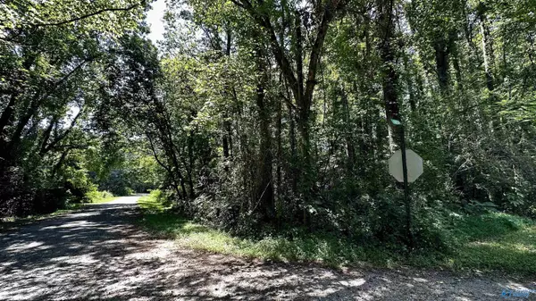 Grant, AL 35747,Lot 13 Kristi Lane