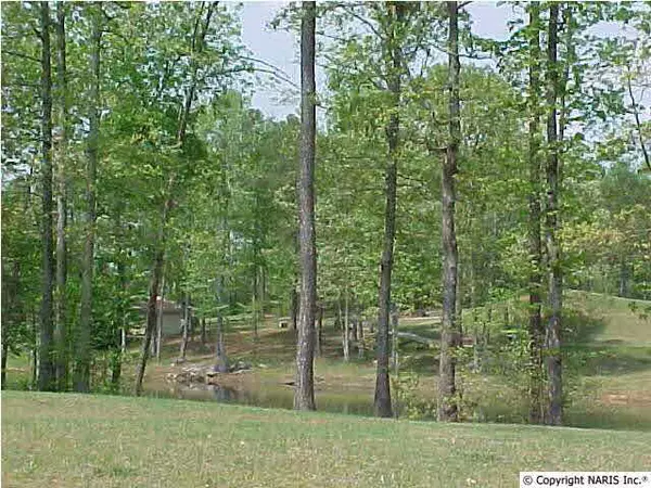 Union Grove, AL 35175,Highlands Drive