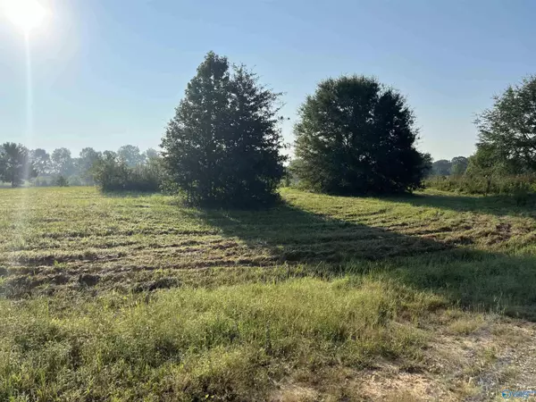 LOT 14 County Road 487, Moulton, AL 35650