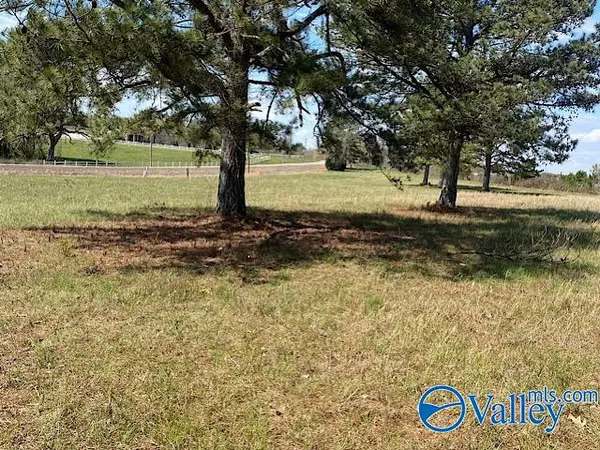 Ardmore, AL 35739,lot 2 Alabama Highway 251