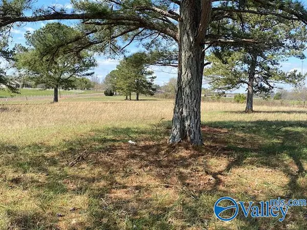 Ardmore, AL 35739,lot 2 Alabama Highway 251