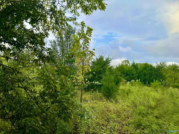 15 Acres Owensby Way, Trinity, AL 35673