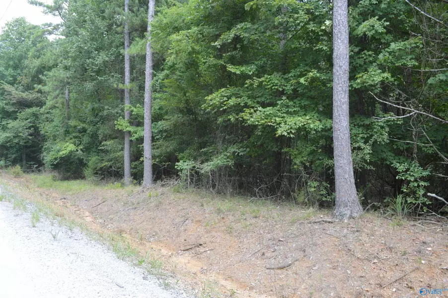 +-17 Acres Lewis Mountain Road, New Market, AL 35761