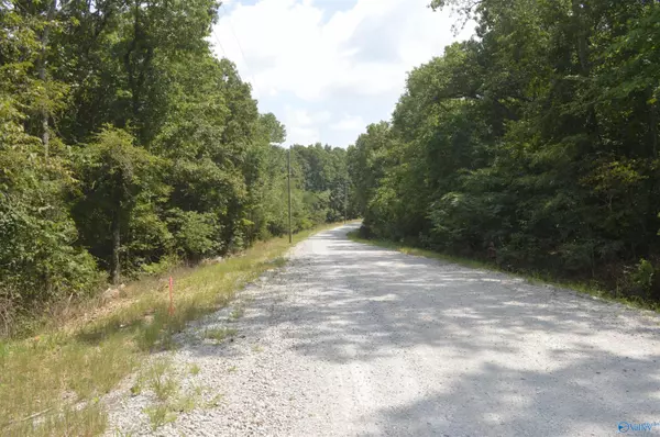 New Market, AL 35761,+-17 Acres Lewis Mountain Road