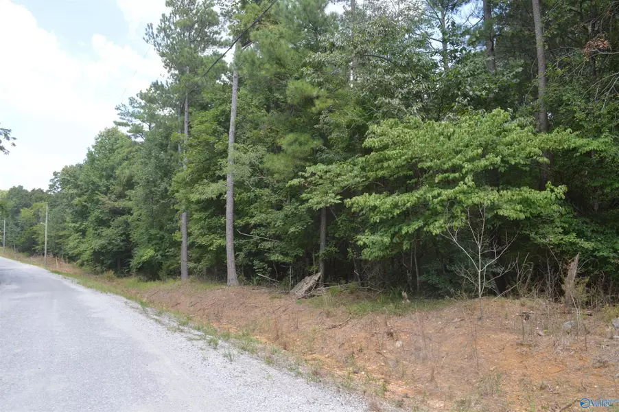 +-23 Acres Lewis Mountain Road, New Market, AL 35761