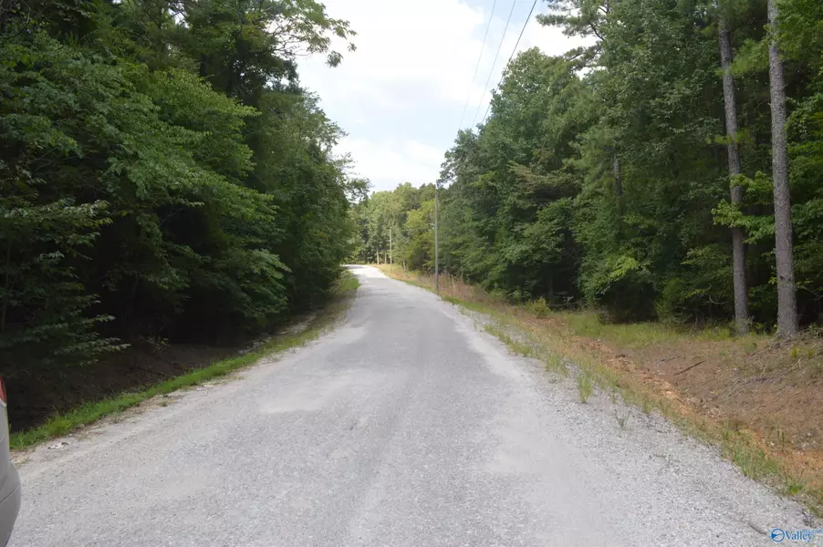 40 Acres Lewis Mountain Road, New Market, AL 35761