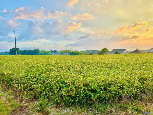 Trinity, AL 35673,15 Acres Tower Street