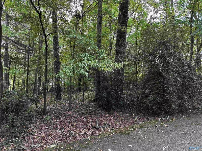 Lot 5&6 Hillcrest Avenue NW, Fort Payne, AL 35967