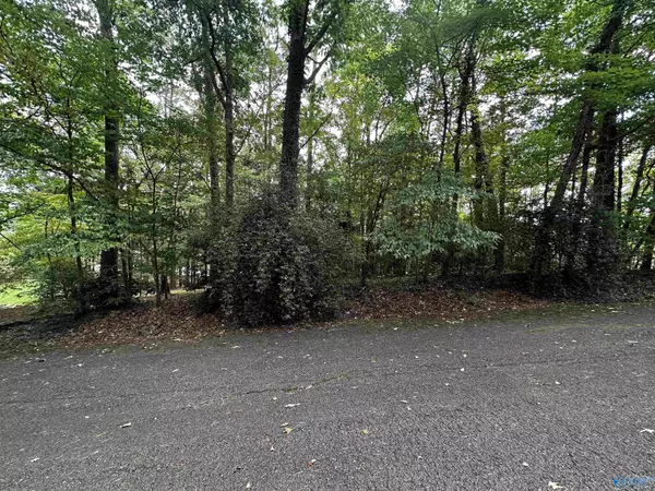 Fort Payne, AL 35967,Lot 5&6 Hillcrest Avenue NW