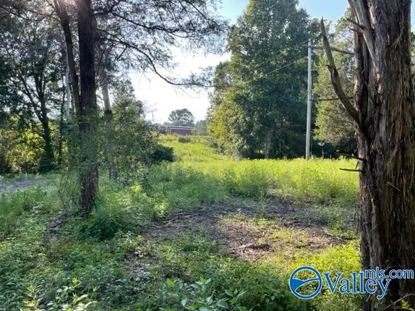 Grant, AL 35747,Lot 4 & 5 Old Union Road