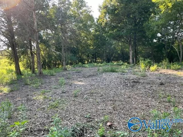 Lot 4 & 5 Old Union Road, Grant, AL 35747