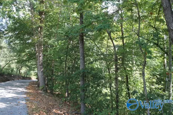 Fort Payne, AL 35967,2ACRES County Road 474