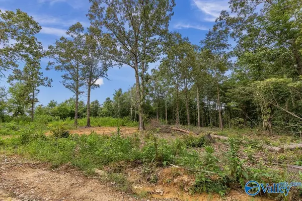 Bryant, AL 35958,Lot A Dusty Trail