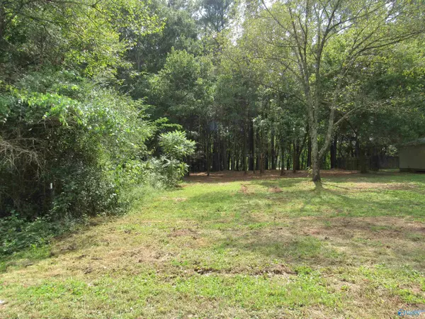 Grant, AL 35747,Lot 11 Ross Subdivision Road