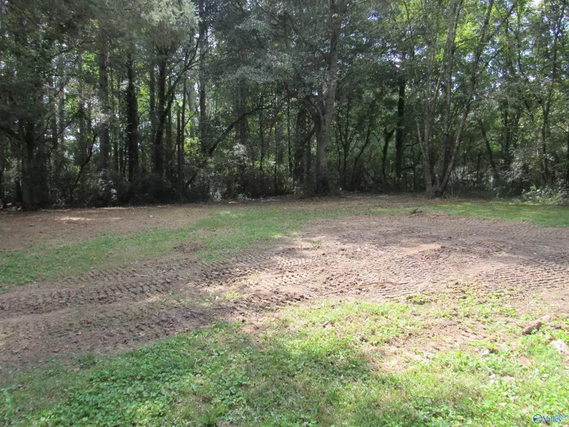 Lot 9 Ross Subdivision Road, Grant, AL 35747