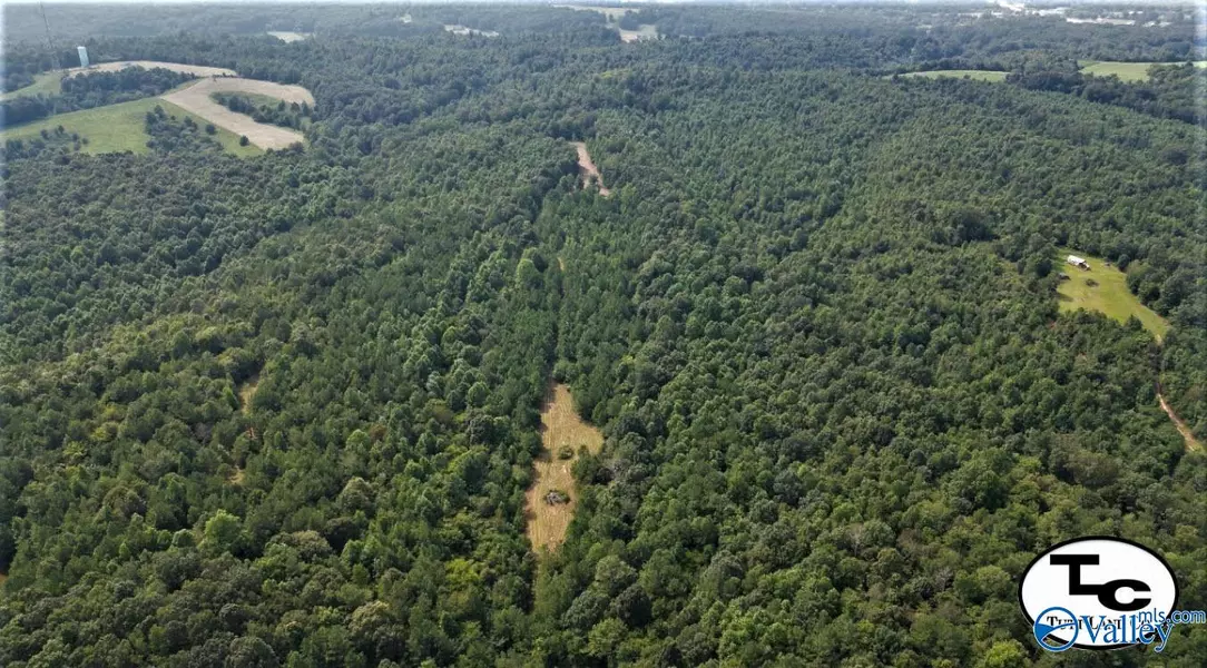 121 Acres +/- Highway 79, Brooksville, AL 35031