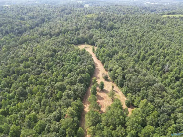 Brooksville, AL 35031,121 Acres +/- Highway 79