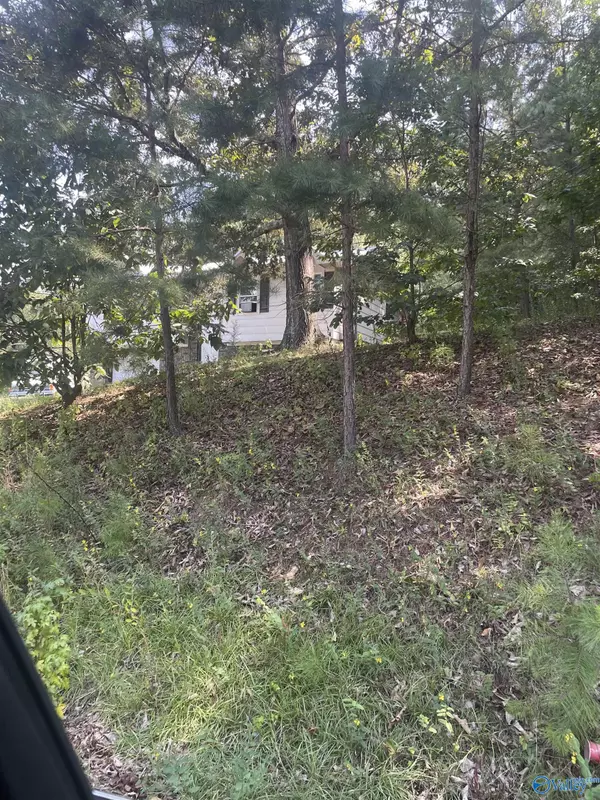 Oxford, AL 36203,4 Lots Southmoor Circle