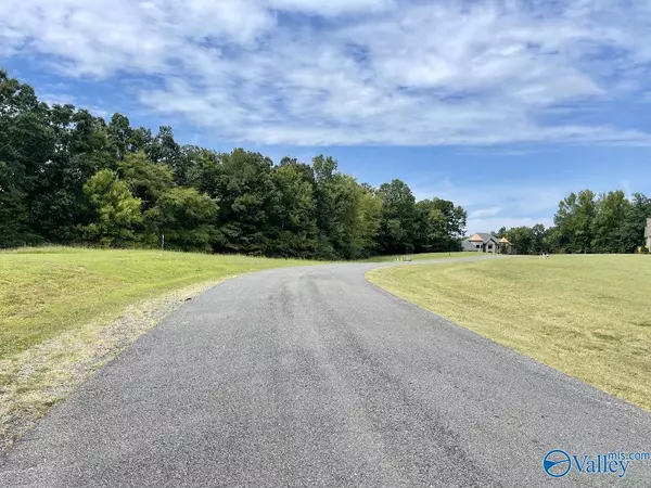 Guntersville, AL 35976,lot 17 Worthington Lane