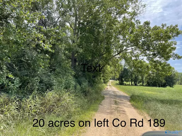 Moulton, AL 35650,20 ACRES County Road 189