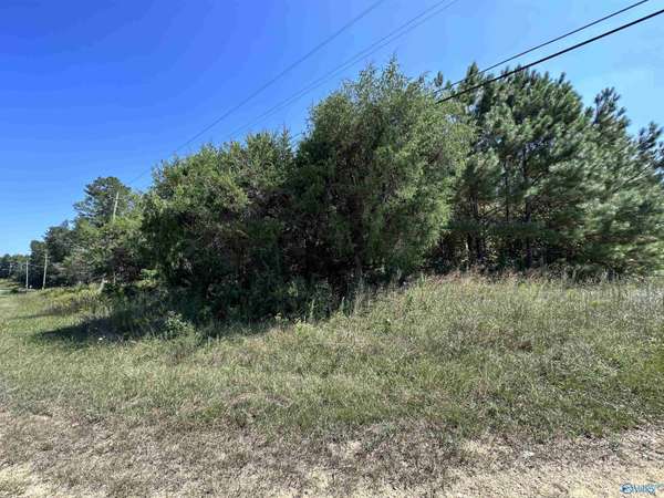 3.2 ACRES Hwy 35, Hamilton, AL 35570