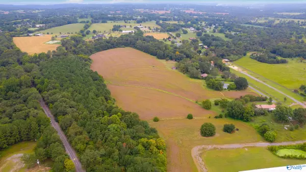 Albertville, AL 35951,45+/- acres Railroad Avenue