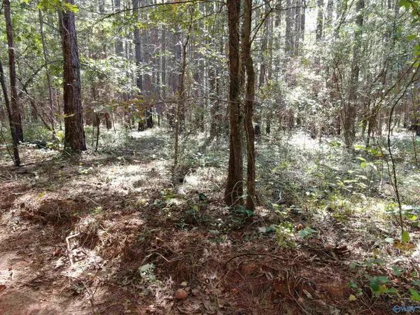 Talladega, AL 35160,33 Acres Dill Circle