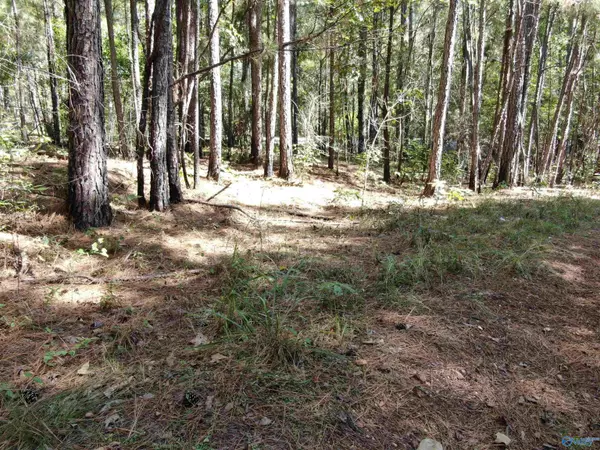 Talladega, AL 35160,33 Acres Dill Circle