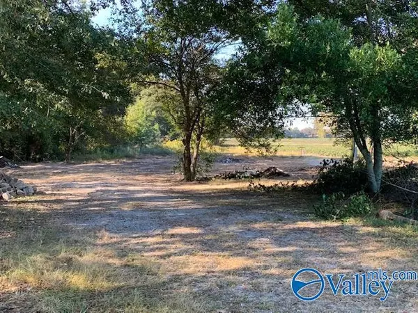 Ardmore, AL 35739,4070 Elkwood Section Road