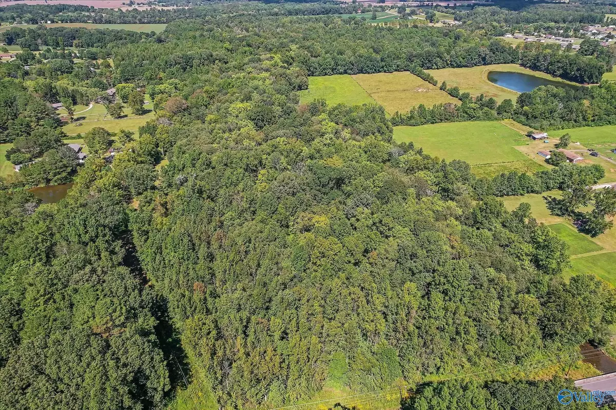 Toney, AL 35773,Lot 33 Ready Section Road