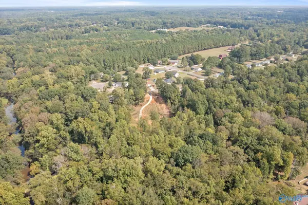 Toney, AL 35773,128 Candice Drive