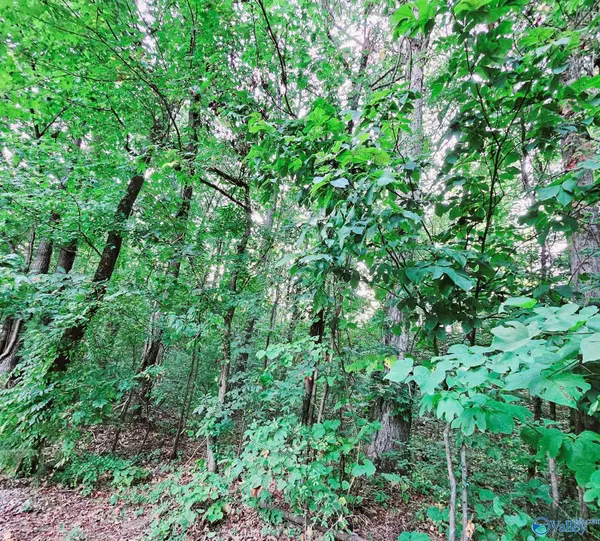 Trinity, AL 35673,Lot 45 North Mountain Drive