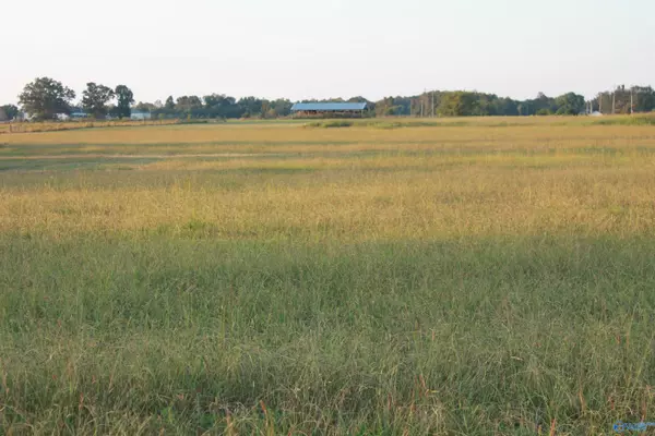 Falkville, AL 35622,Tract 6 W Highway 55 W