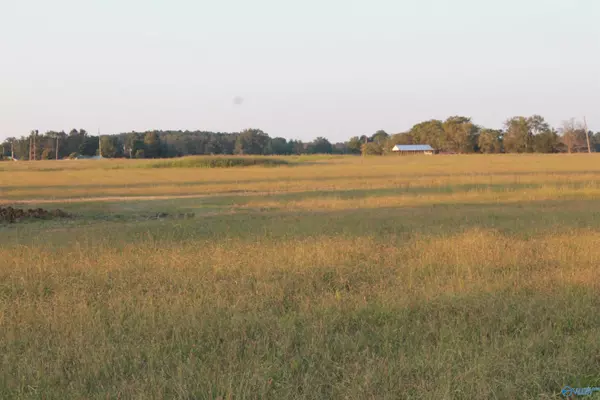 Falkville, AL 35622,Tract 6 W Highway 55 W