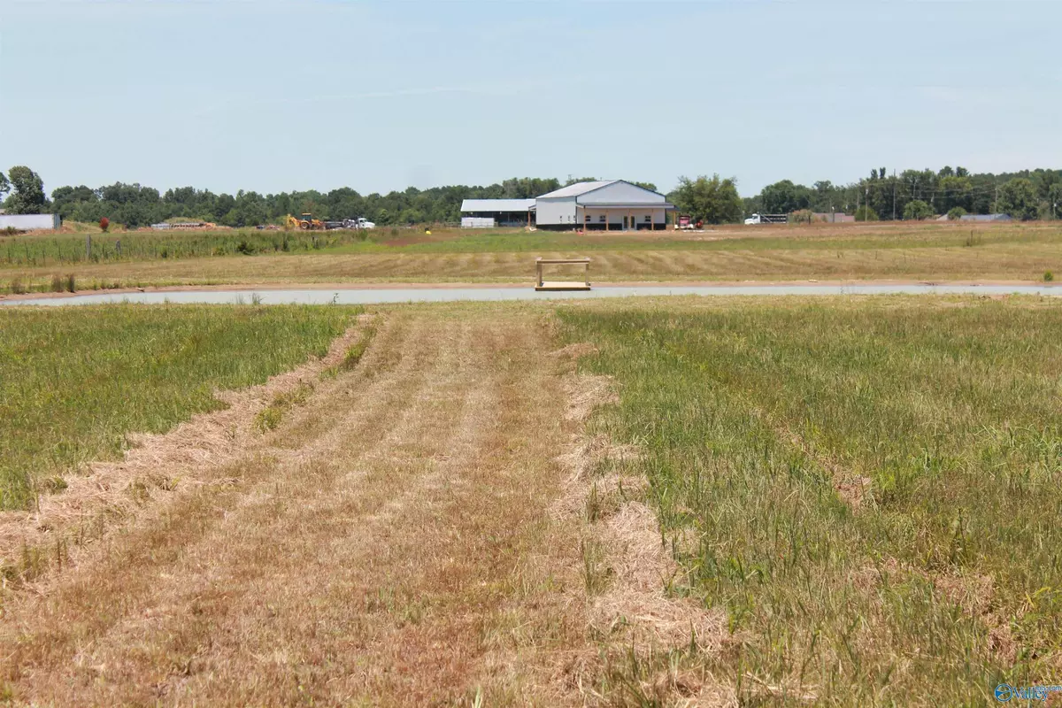 Falkville, AL 35622,Tract 7 W Highway 55 W