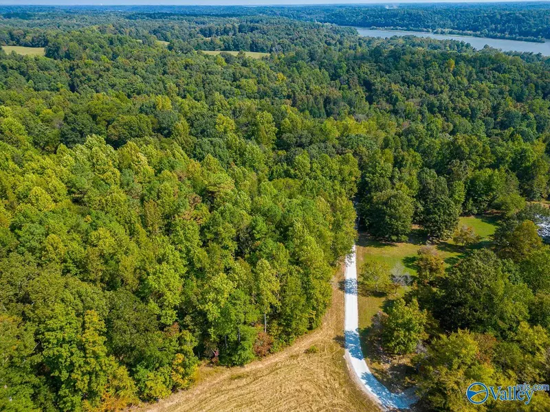 8 acres Ben Marie Lane, Athens, AL 35614