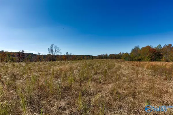 Lester, AL 35647,20 acres Short Cut Road