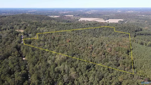 Moulton, AL 35650,40 Acres County Road 63