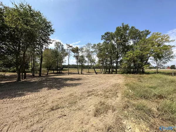 Dutton, AL 35744,29 Acres Highway 71