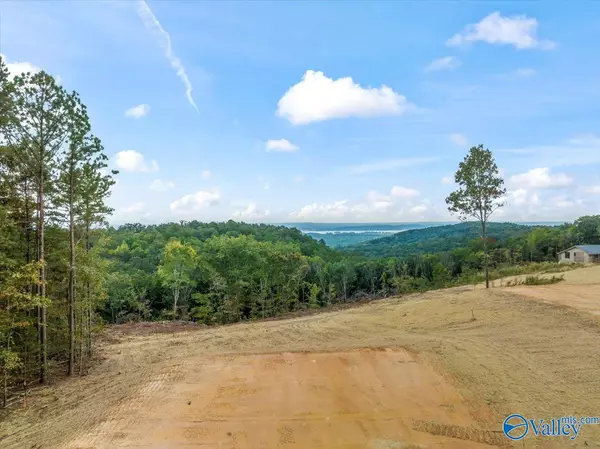 Guntersville, AL 35976,704 Loper Lane