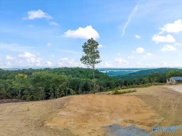 Guntersville, AL 35976,718 Loper Lane